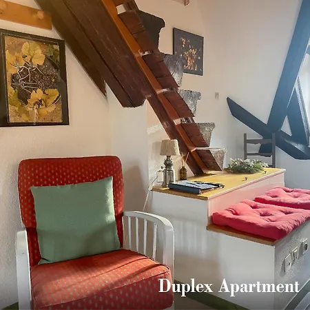 La Maison Bleue - Historic House In The Heart Of Riquewihr Chambre photo