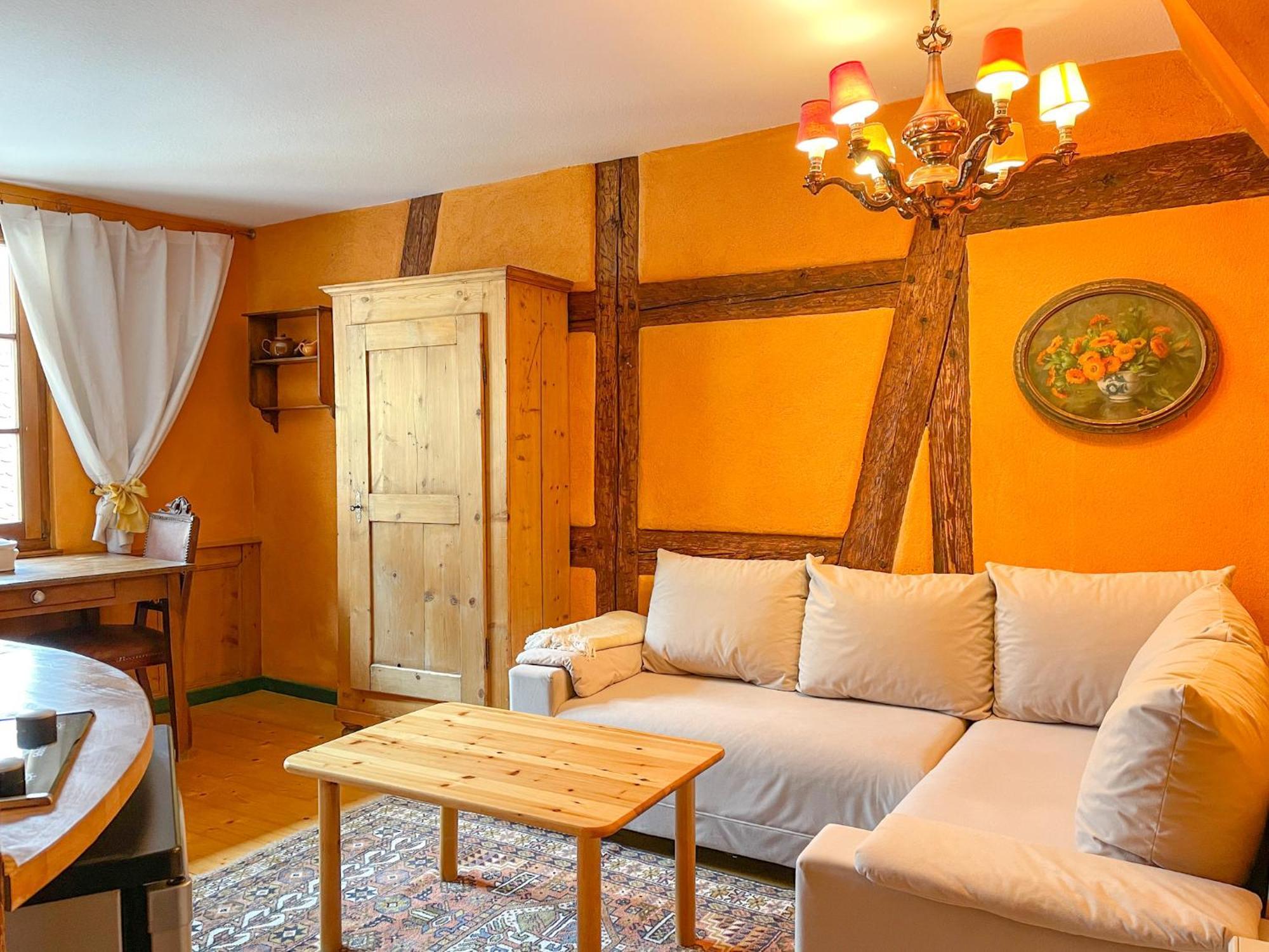 La Maison Bleue - Historic House In The Heart Of Apartment *