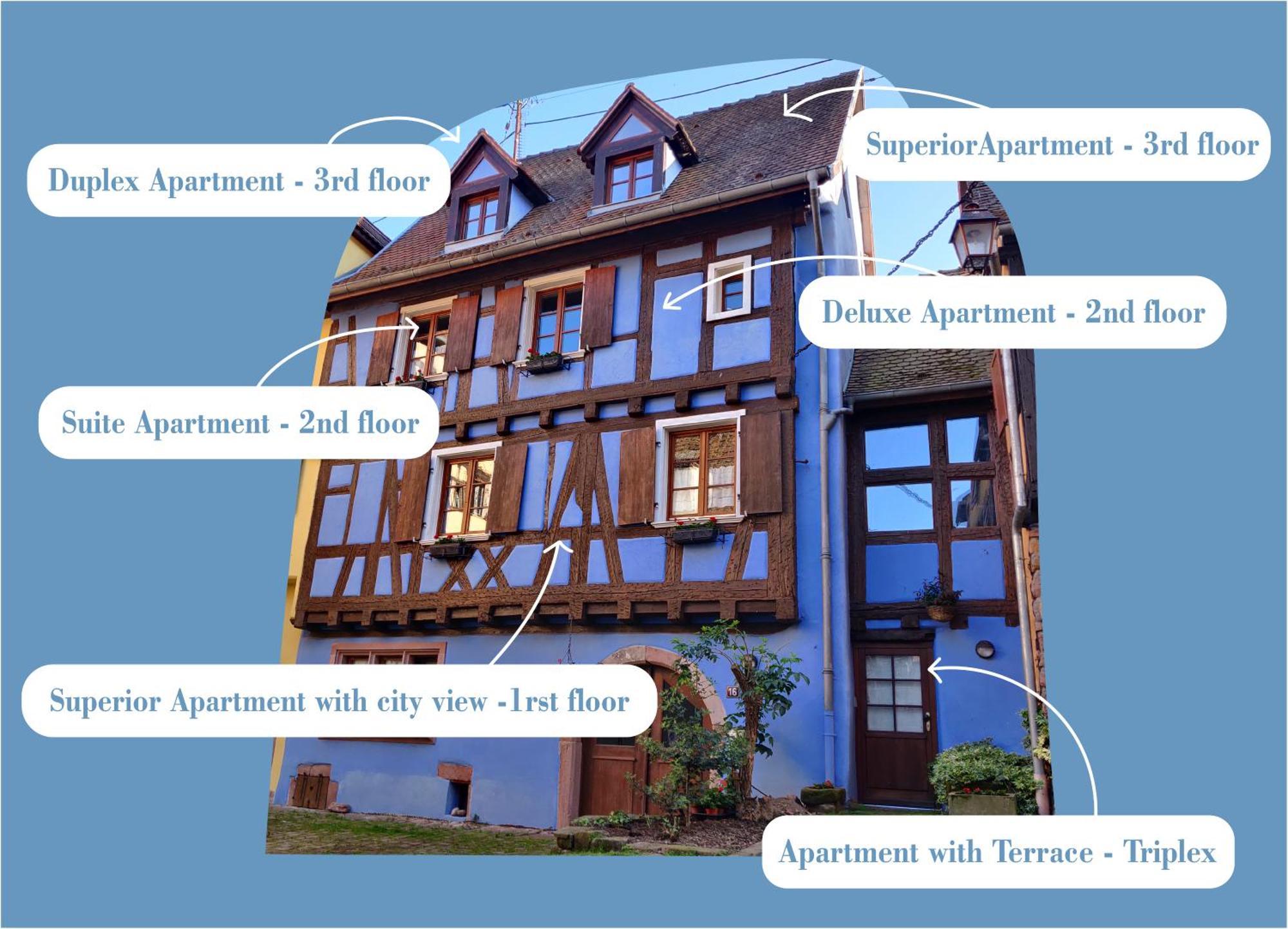 La Maison Bleue - Historic House In The Heart Of Apartment Riquewihr