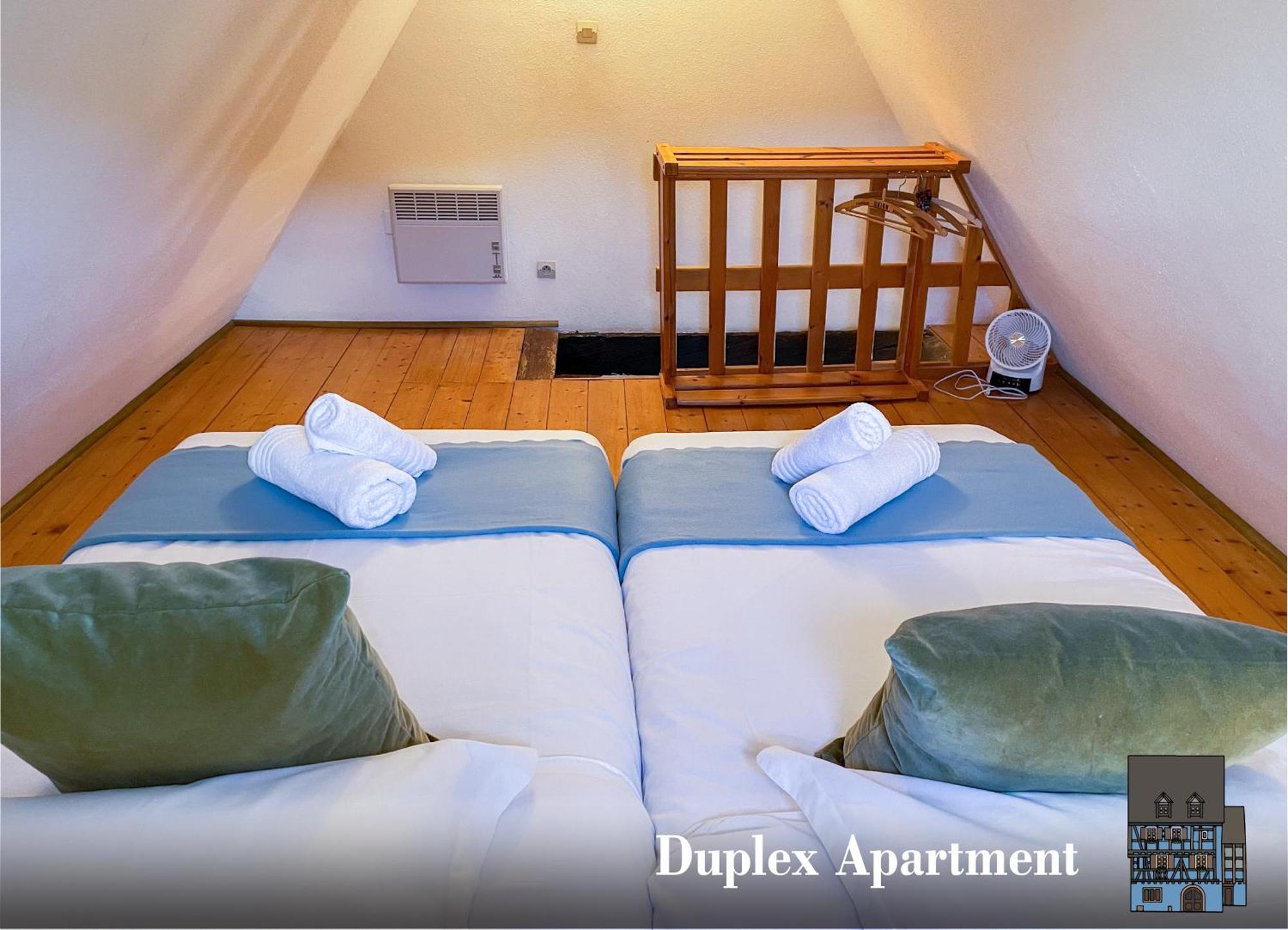 La Maison Bleue - Historic House In The Heart Of Apartment Riquewihr