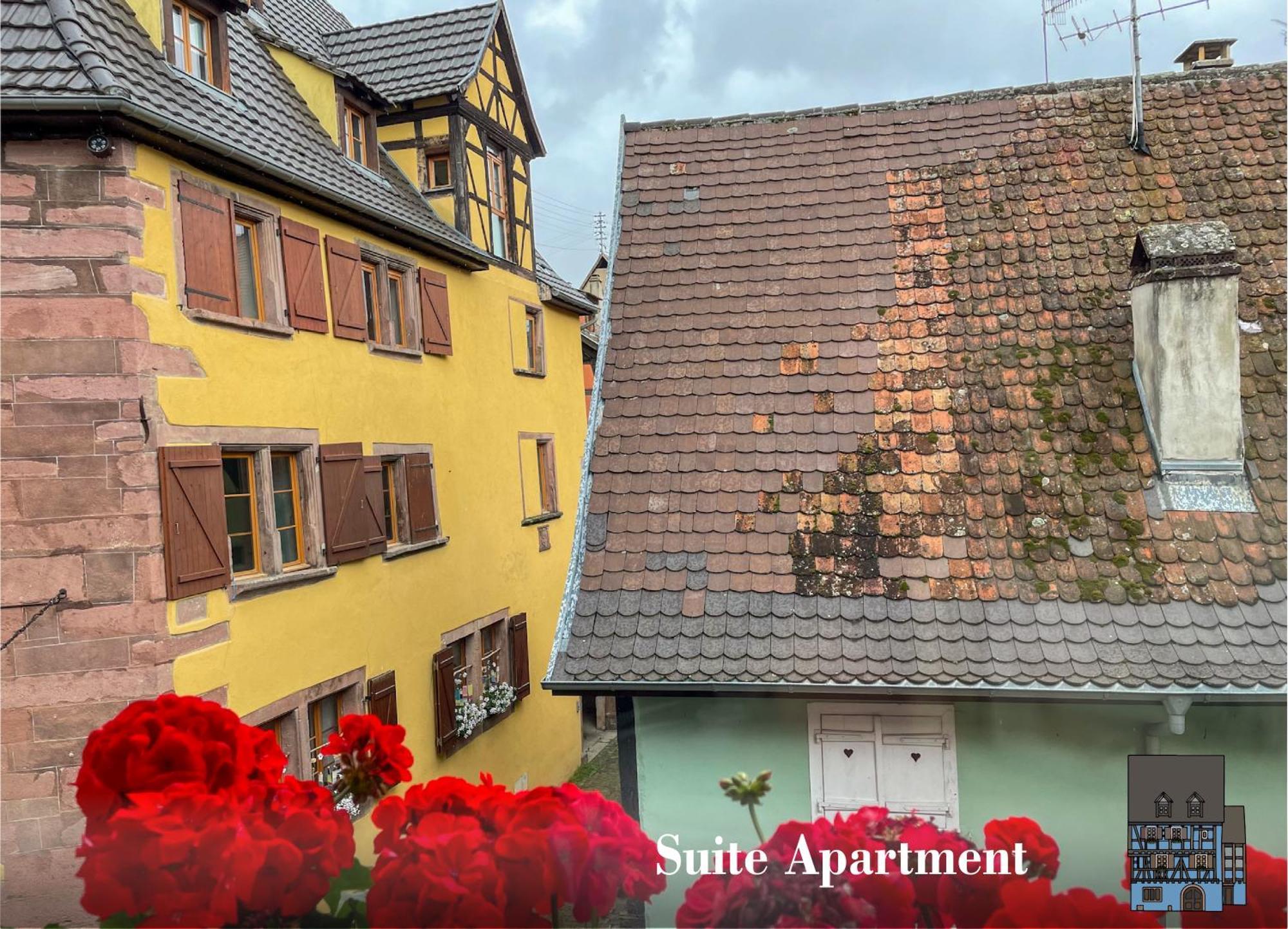 La Maison Bleue - Historic House In The Heart Of